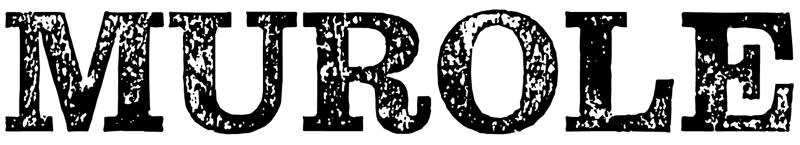 Murole-hölkkä
