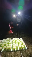 Vörå Night Trail