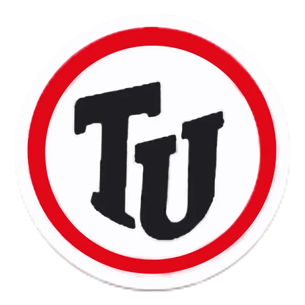 Toholammin talvijuoksut